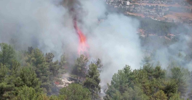 Adıyaman’daki orman yangını havadan görüntülendi