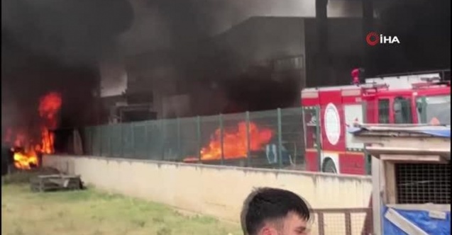 Tekirdağ'da fabrika alevlere teslim oldu: Patlamalar peş peşe geldi