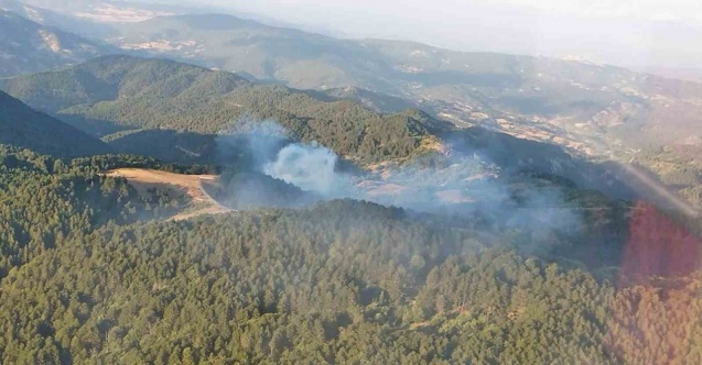 Balıkesir’de orman yangını kontrol altına alındı