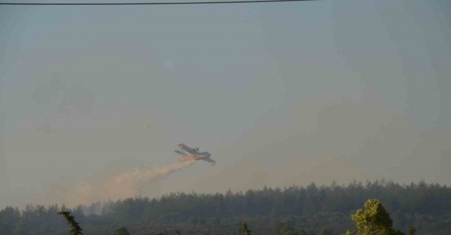 Didim’deki yangın 4,5 saat sonra kontrol altına alındı