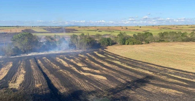 Tekirdağ’da 250 dönüm tarım arazisi kül oldu