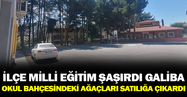 İlçe Milli Eğitim Müdürlüğü Okuldaki Ağaçları Satıyor!