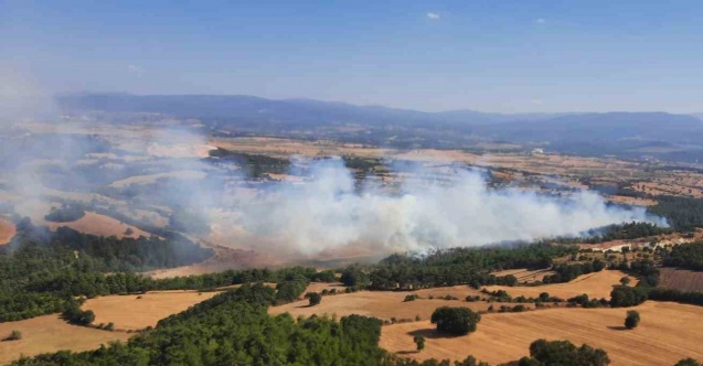 Çan’da orman yangını
