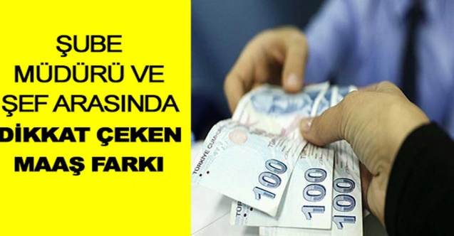 Şube müdürü ile şef arasında dikkat çeken maaş farkı!