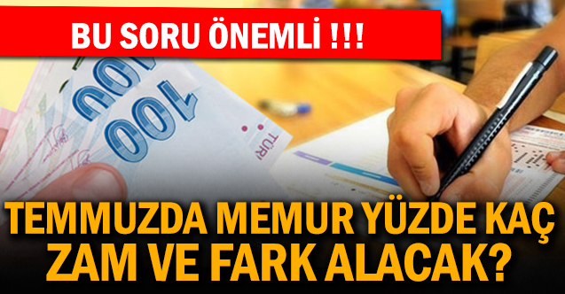 Temmuz'da Memur Yüzde Kaç Zam ve Fark Alacak ?