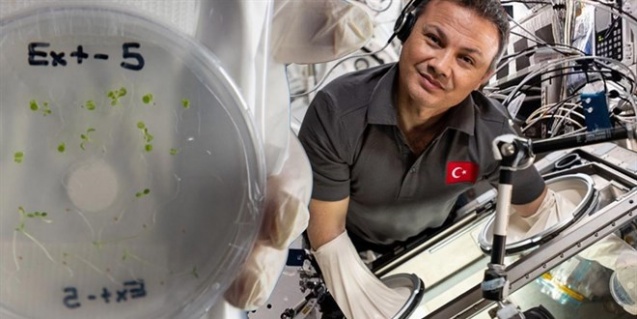 Gezeravcı'nın deneyleri Kanserlere tedavi imkanı sağlayacak