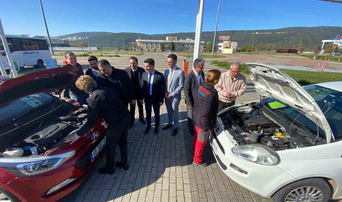 MEB'de Öğretmenlere MTSK Sınavı Verilmiyor: Bahane Sistem Hatası!