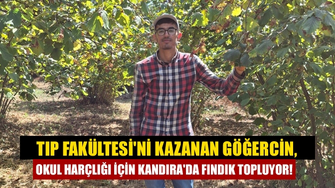 YKS'de Derece Yapan Okul Birincisi Fındık Toplayarak Harçlığını Çıkarıyor