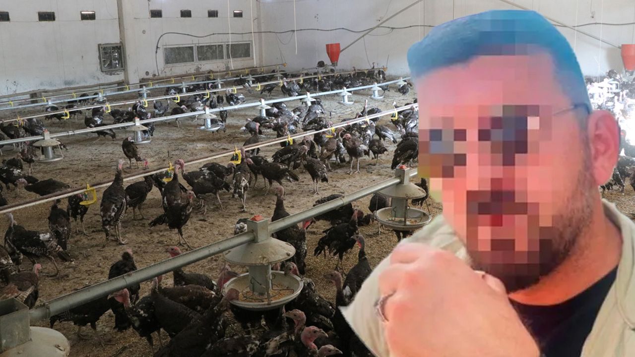 Çiftlikbank Vakasının Ardından Şimdi de Hindibank Dolandırıcılığı