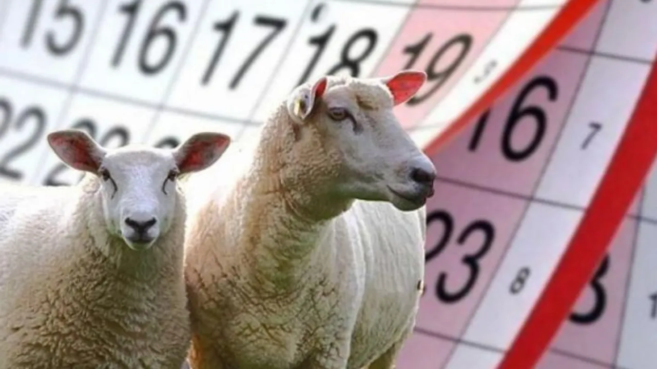 2025 Kurban Bayramı ne zaman?