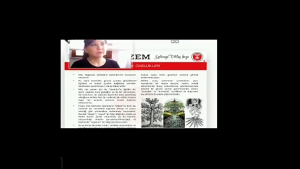 Kastamonu Üniversitesi öğretim üyesi Semra Altınkulaç'tan İslamın Kutsallarına Saldırı