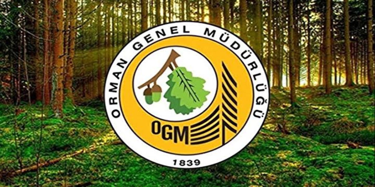 Orman Genel Müdürlüğü 262 Daimi İşçi Alımı Yapacak