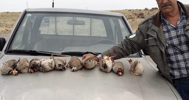 Kınalı keklikleri avlayan 5 şahıs yakalandı