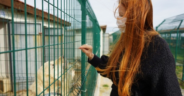 Can dost ’boncuk’ için seferberlik