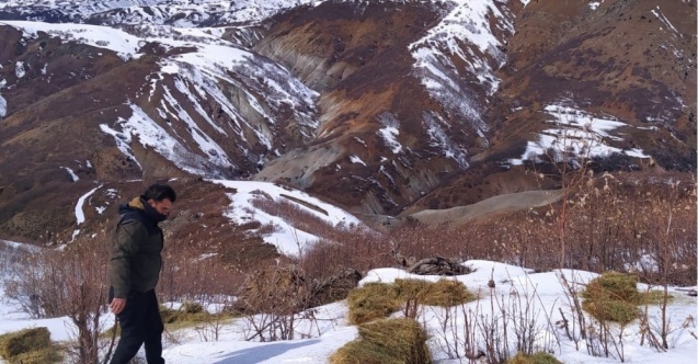 Bingöl’de doğaya 800 kilo yem bırakıldı