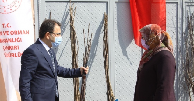 Çankırı’da 10 bin meyve fidanı toprakla buluşacak