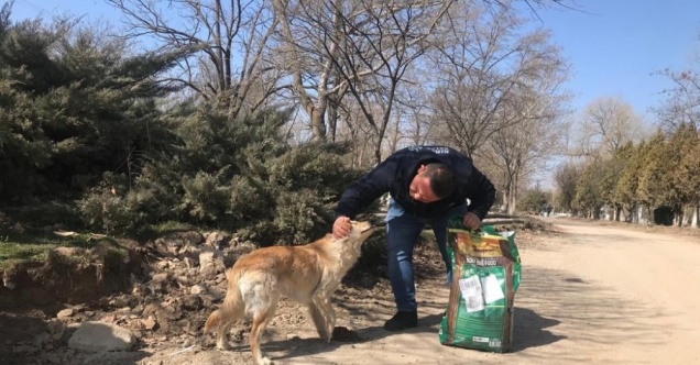 Kırıkkale Belediyesinin hayvan dostu uygulamaları