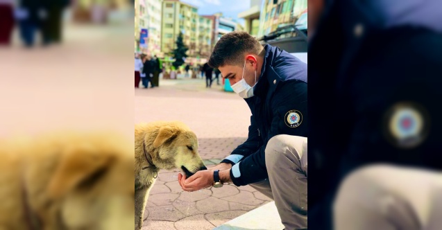 polisler sokak hayvanlarını elleriyle besledi