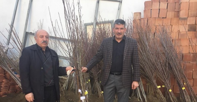 Akdağmadeni’nde meyve fidanı  ve tohum satışına başlandı