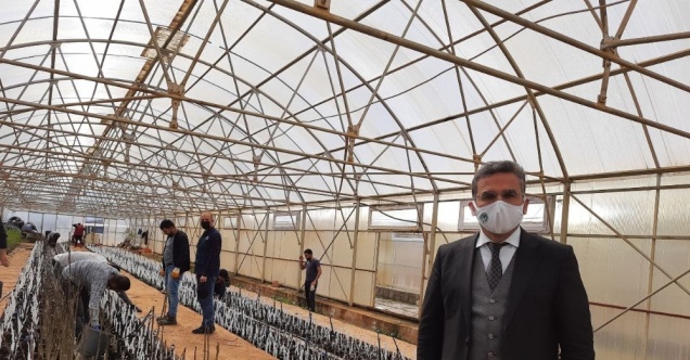 Bingöl’de ilk kez ceviz ve badem aşılı fidan üretimine geçildi