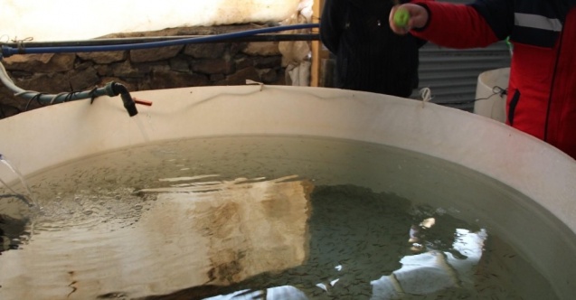 Alabalık tesisleri denetlendi