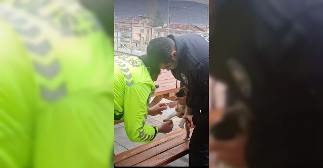 Yaralı köpeğe polis şefkati