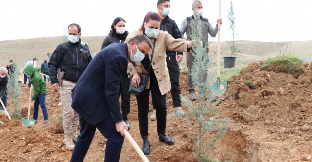 Daha yeşil bir Siirt için fidanlar toprakla buluştu