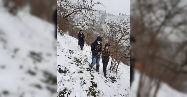 Fındıkta zirai don tespiti için çalışma başlatıldı