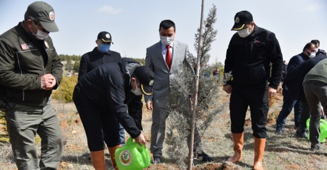 Karaman’da ‘Dünya Ormancılık Haftası’ etkinlikleri