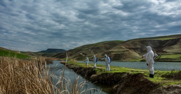 Batman’da karasinek ve sivrisinekle mücadele çalışmaları başladı