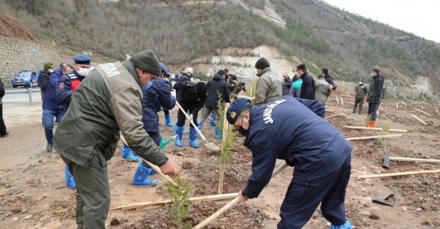 Artvin’de fidanlar toprakla buluştu