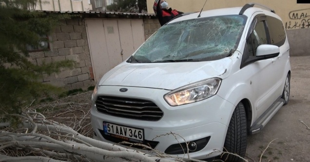 Fırtına nedeniyle ağaç otomobilin üzerine devrildi