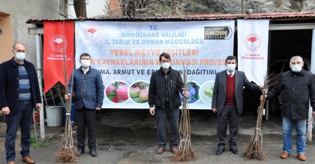 Gümüşhane’de üreticilere 4 bin adet yerli meyve fidanı dağıtıldı