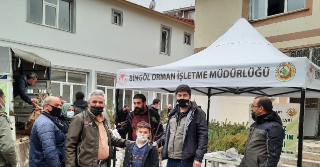 Bingöl’de vatandaşlara 5 bin fidan dağıtıldı