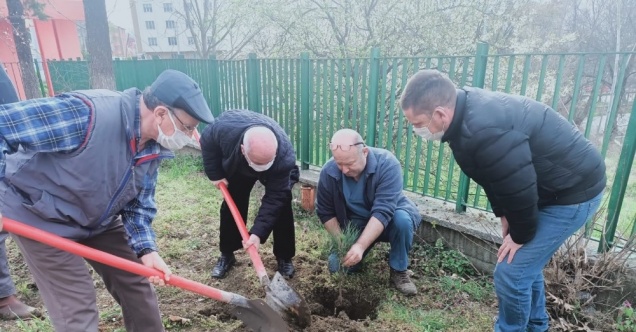 Huzurevi sakinlerinden Orman Haftası’nda fidan dikimi