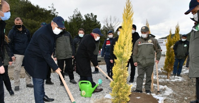 Karabük’te bin 750 fidan toprakla buluşturuldu