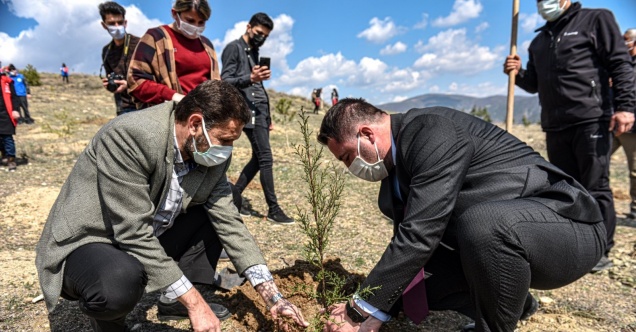 Her ay aynı gün fidan dikiyorlar