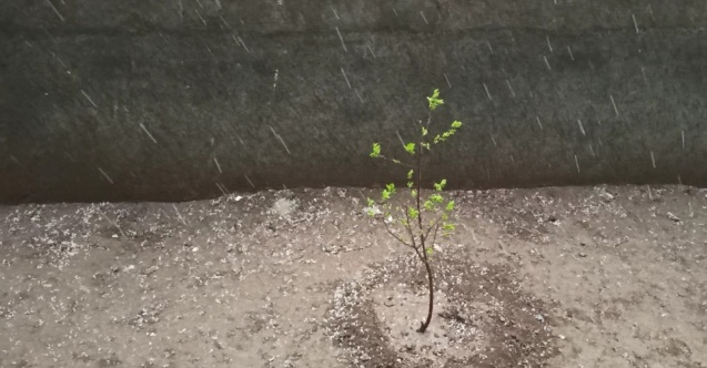 Iğdır’da kuvvetli fırtına sonrası dolu korkuttu