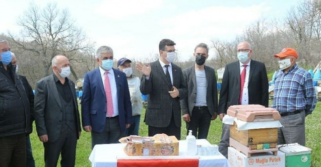 Üreticilere lavanta fidesi ve petek dağıtımı yapıldı