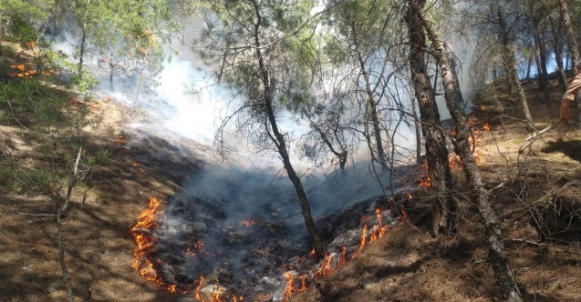 Uşak’ta faciadan dönüldü, 1 hektar alan kül oldu