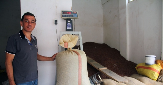 Tam kapanmanın ardından fındık fiyatı 22,75 lira oldu