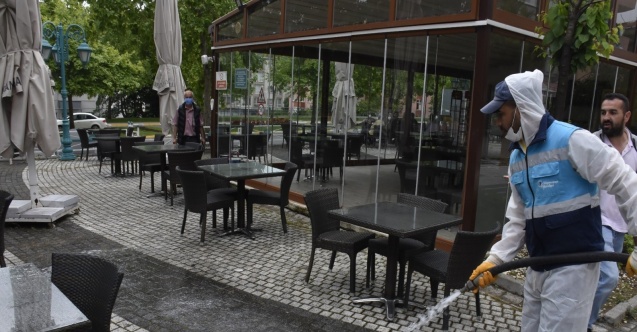 Çay bahçeleri yaza hazırlandı