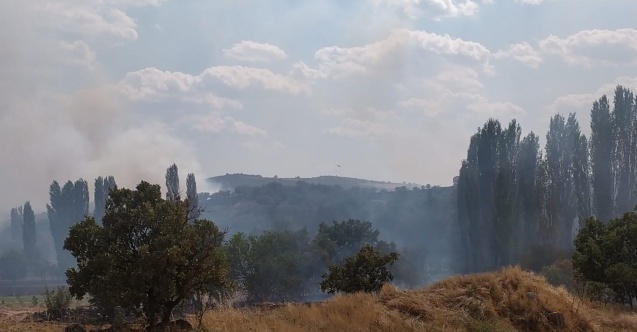 Uşak’ta çıkan yangına havadan müdahale ediliyor