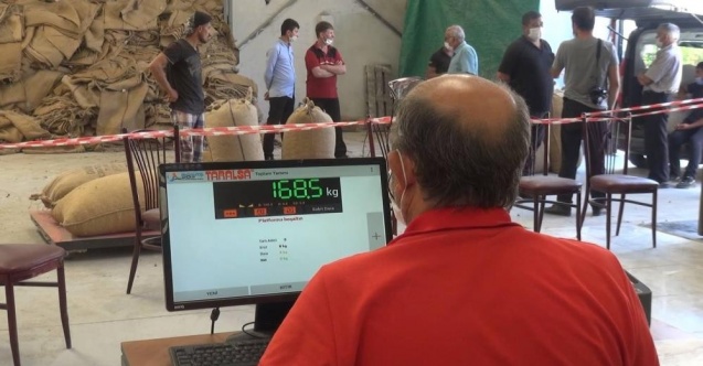 2021 yılı fındık alımları 1 Eylül’de başlıyor