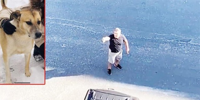 Köpek tepkisi gündem olmuştu! İşte Daire 16 Öğretmen Özay Bey