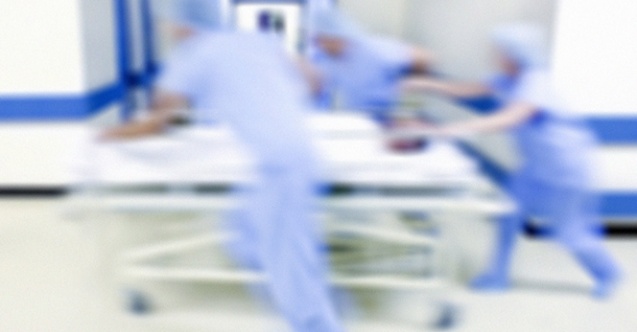 Arının soktuğu genç hayatını kaybetti