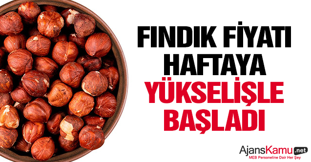 Fındık fiyatı haftaya yükselişle başladı