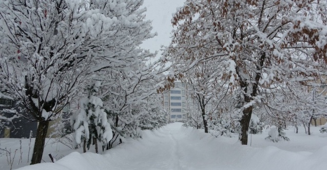 Bitlis’te 203 köy yolu ulaşıma kapandı