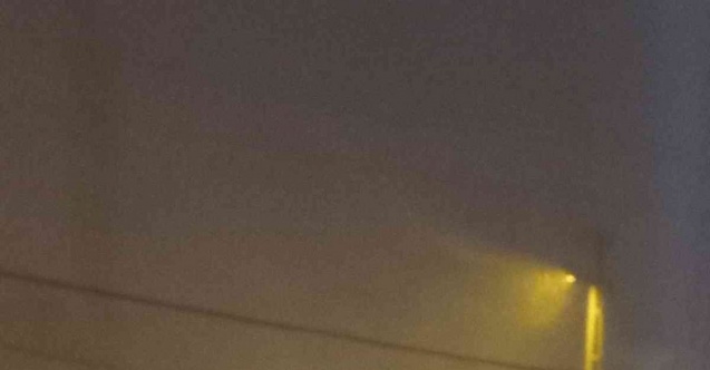 Posof’ta tipi hayatı olumsuz etkiliyor