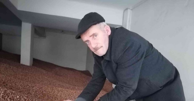 Serbest piyasada fındık fiyatı 35 lira